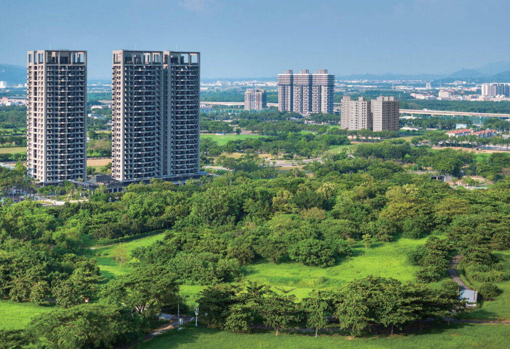 B-3-002-森林之星